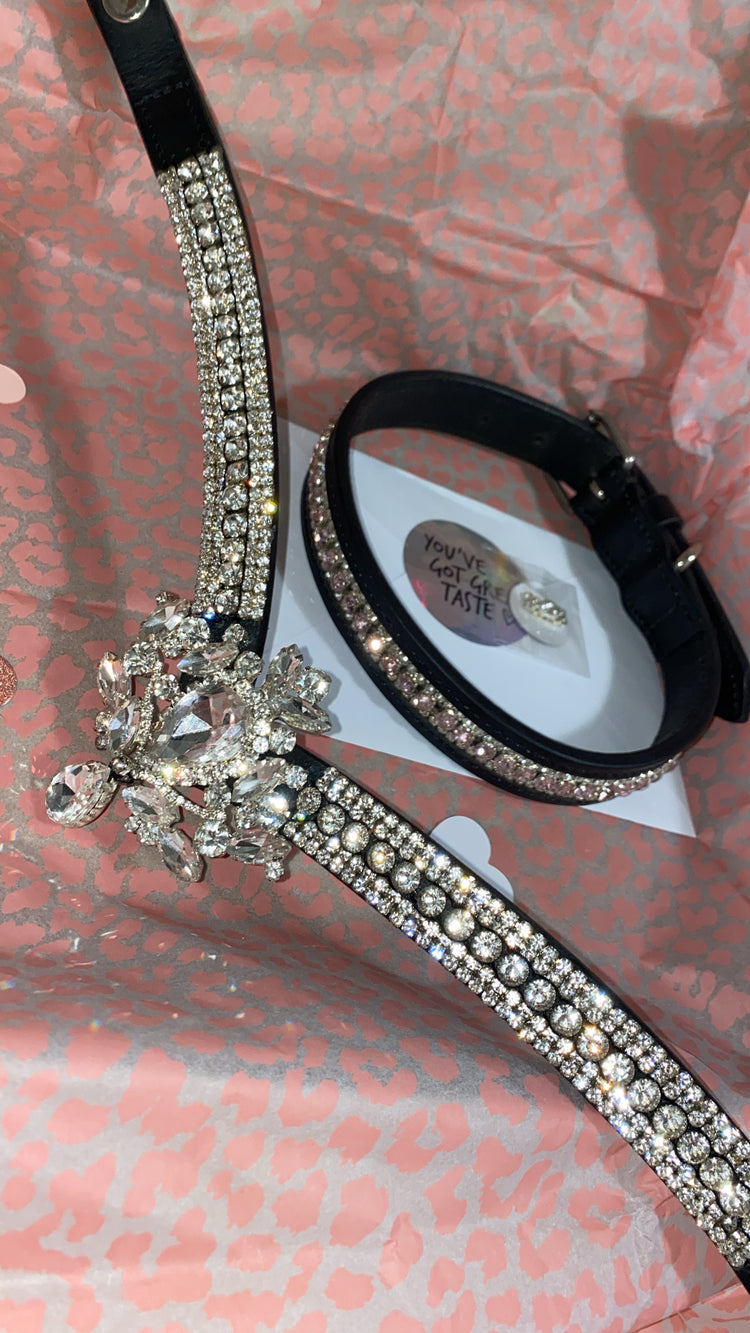 Accessori per cani