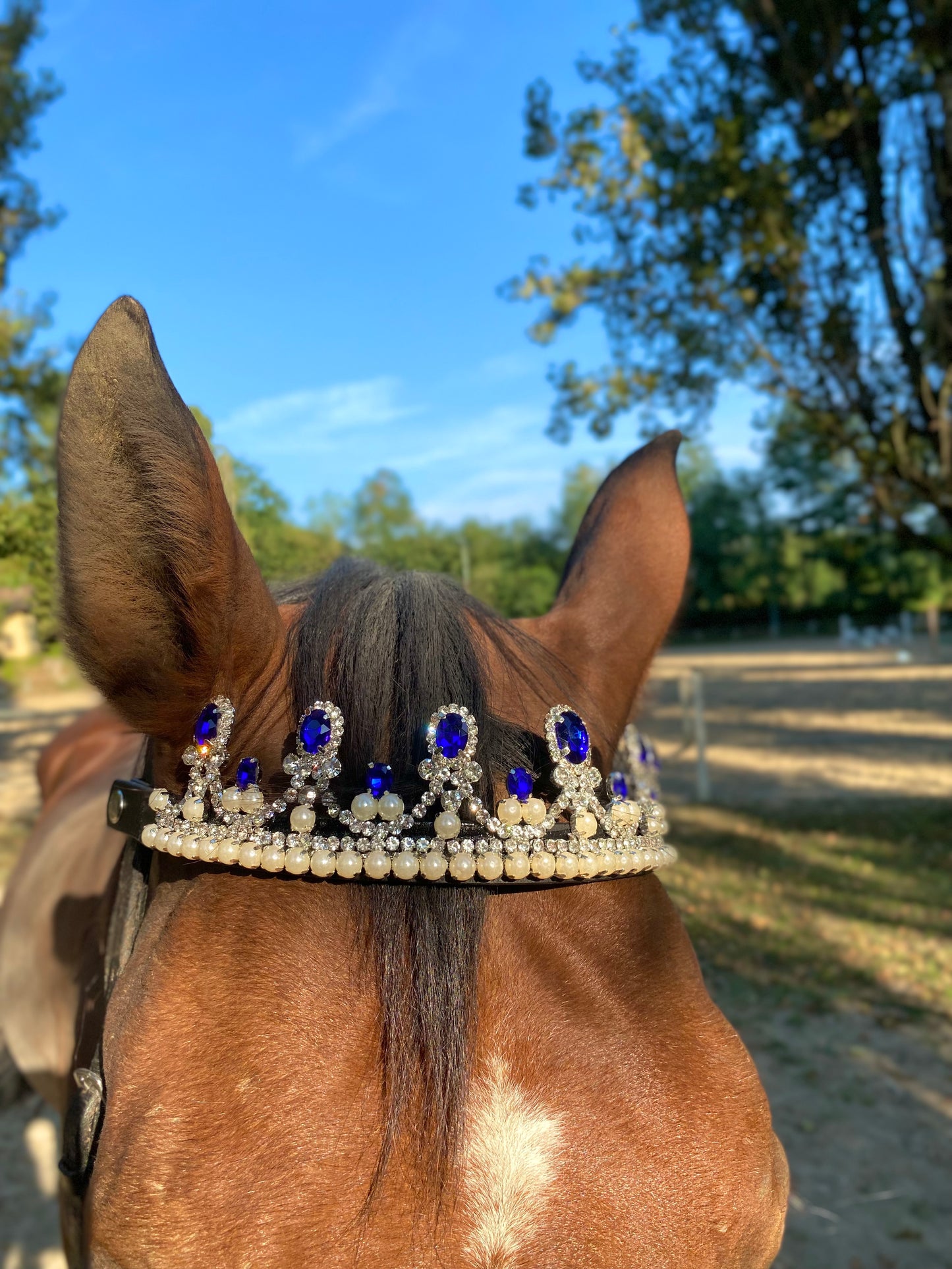 Frontalino Corona blu