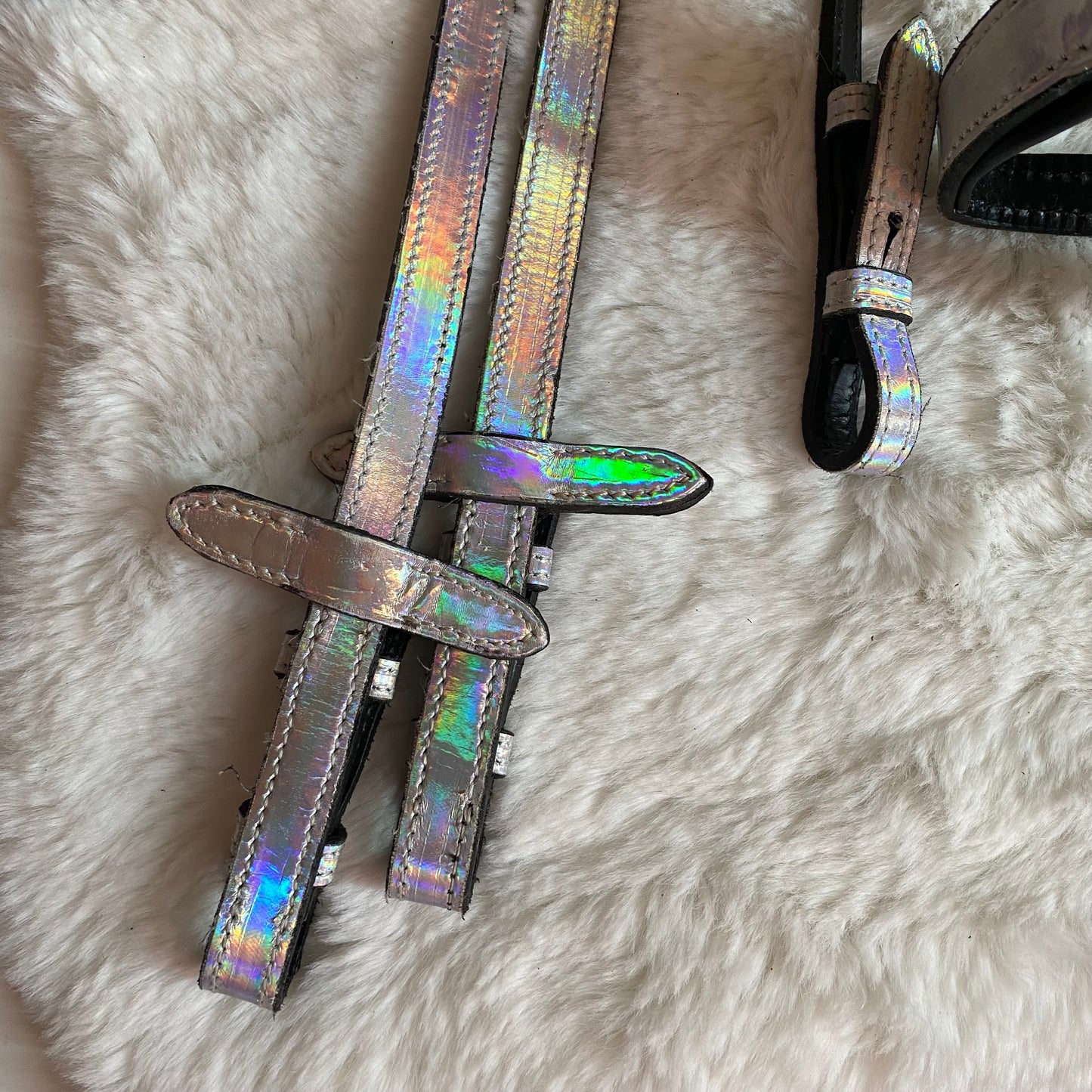 Testiera Holo Horse 🤍