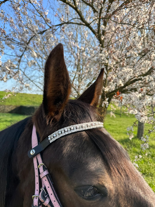 Browband silver pearls