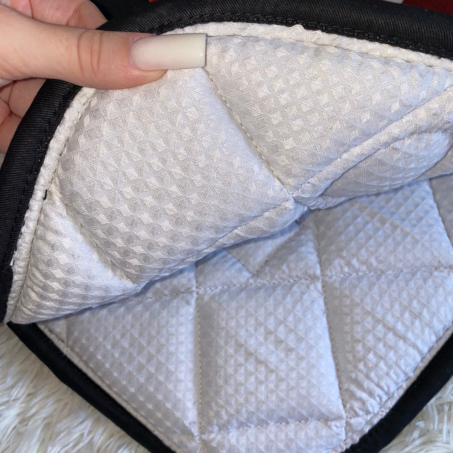 Completo da dressage natalizio 🎄✨❤️