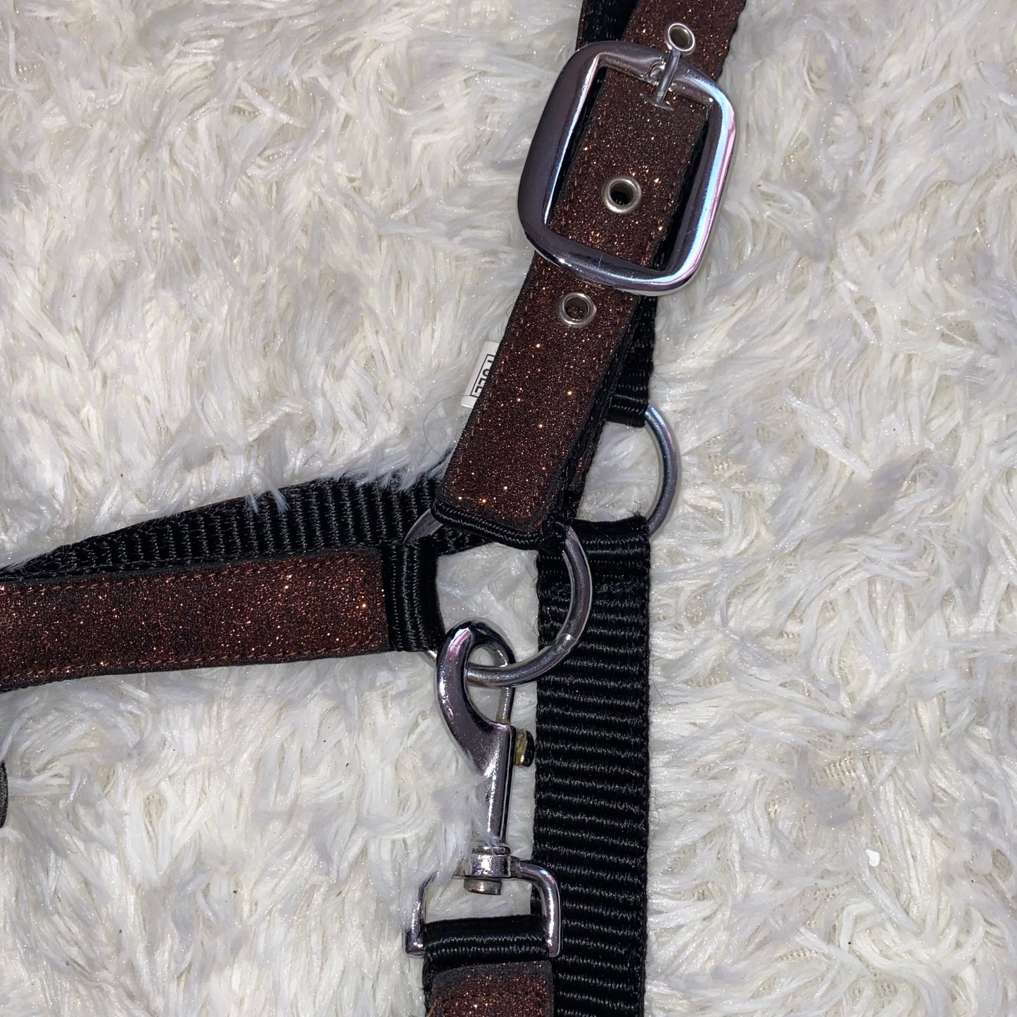 Cavezza Brown Spark 🤎