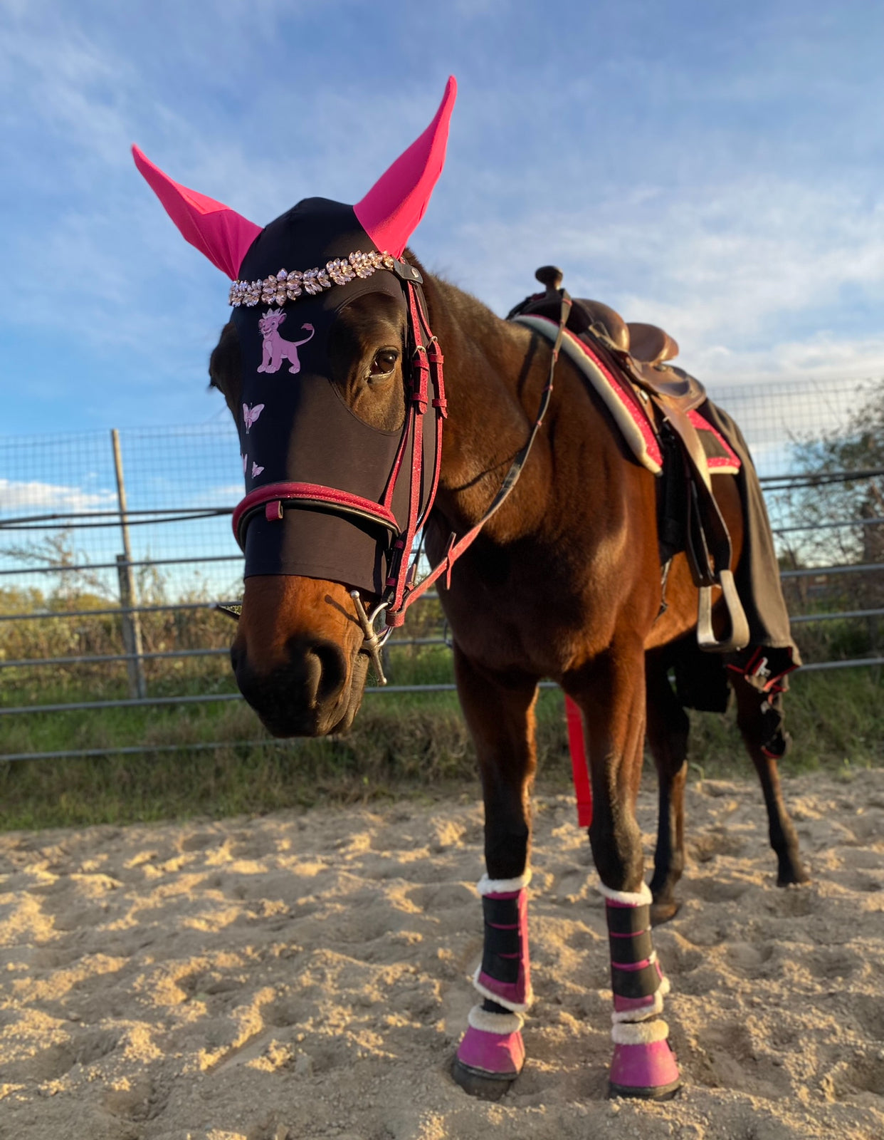 Frontalino Crystal Pink