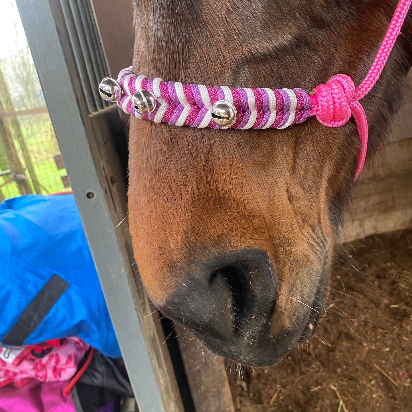 Cavezza in corda rosa natalizia