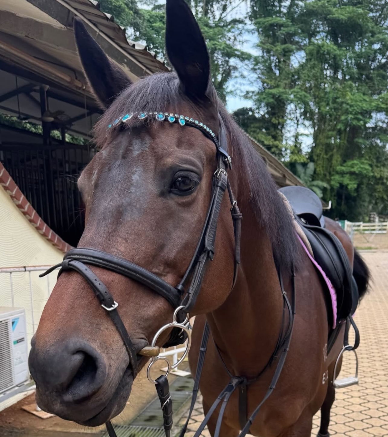 Frontalino Azure Drop