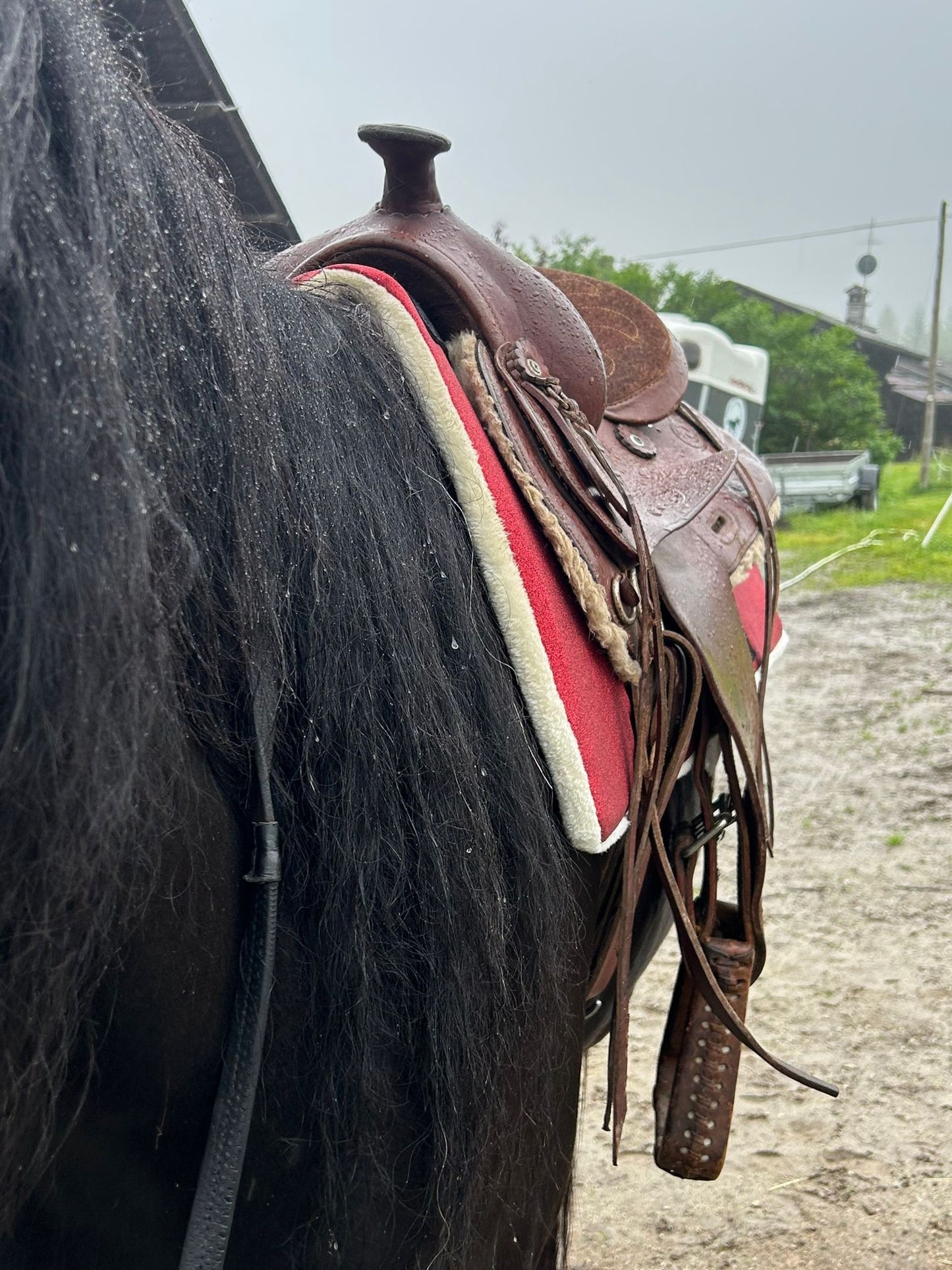 Sottosella Glam Western rosso glitter