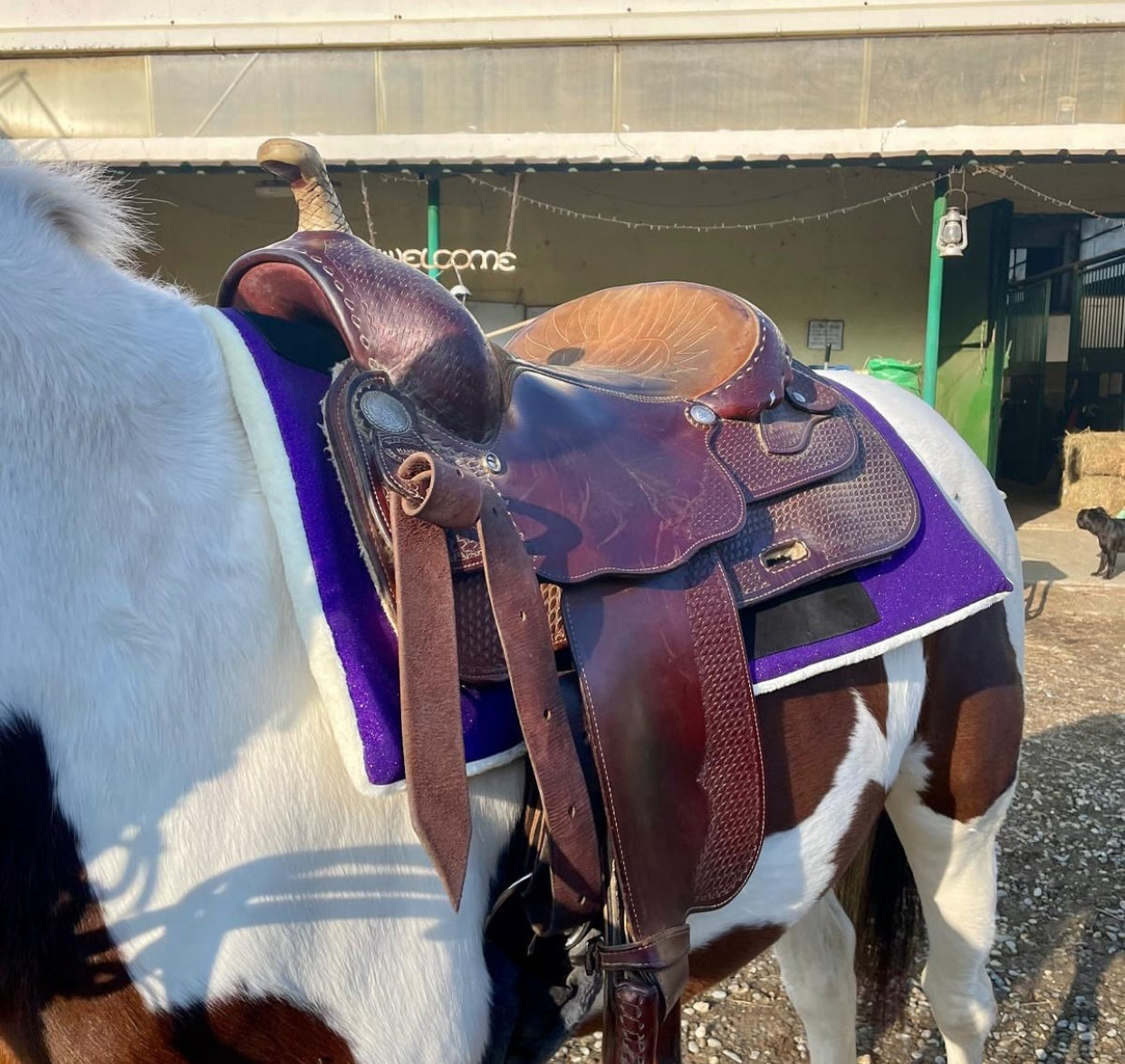 Sottosella Glam Western viola glitter