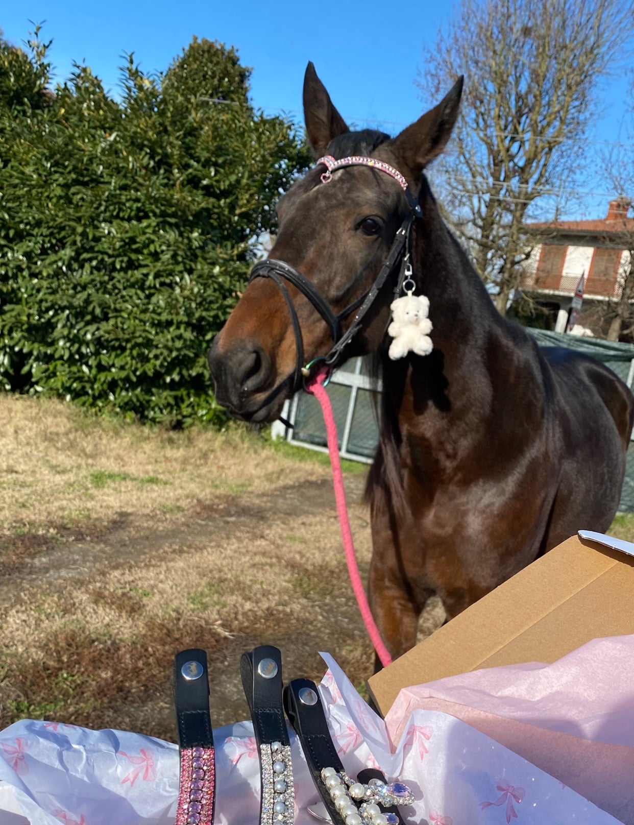 Orsetto peluche decorativo