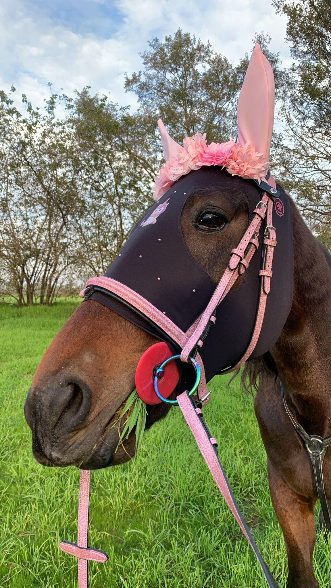 Frontalino Bloom Elegance 🌺