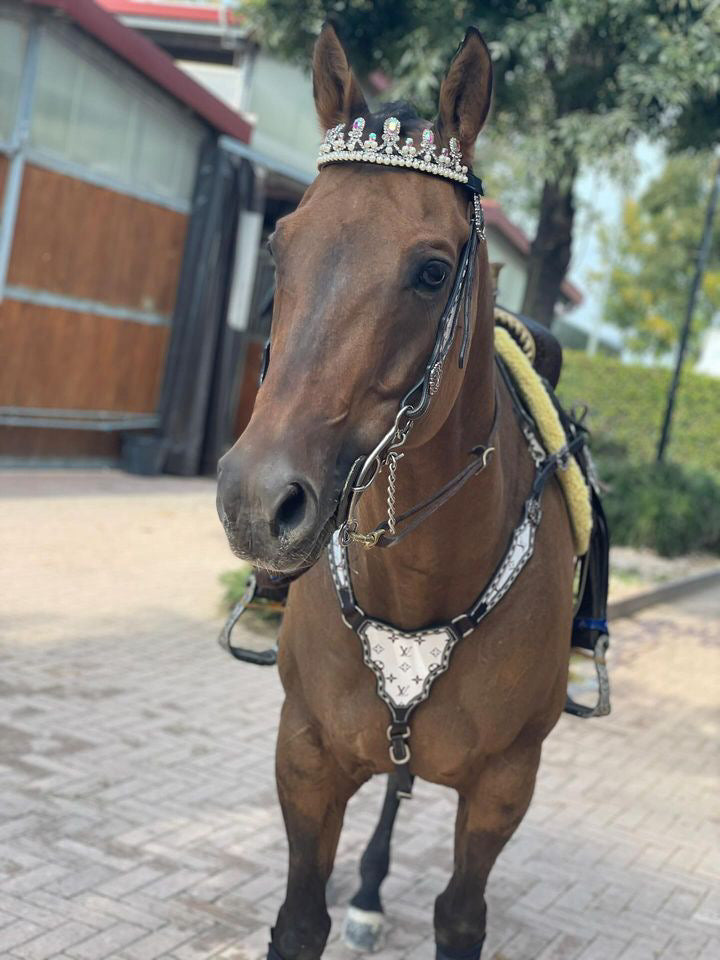 Frontalino Crystal Crown ✨