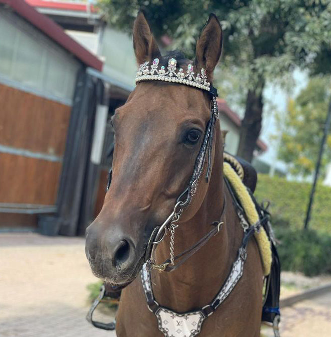 Frontalino Corona olografico