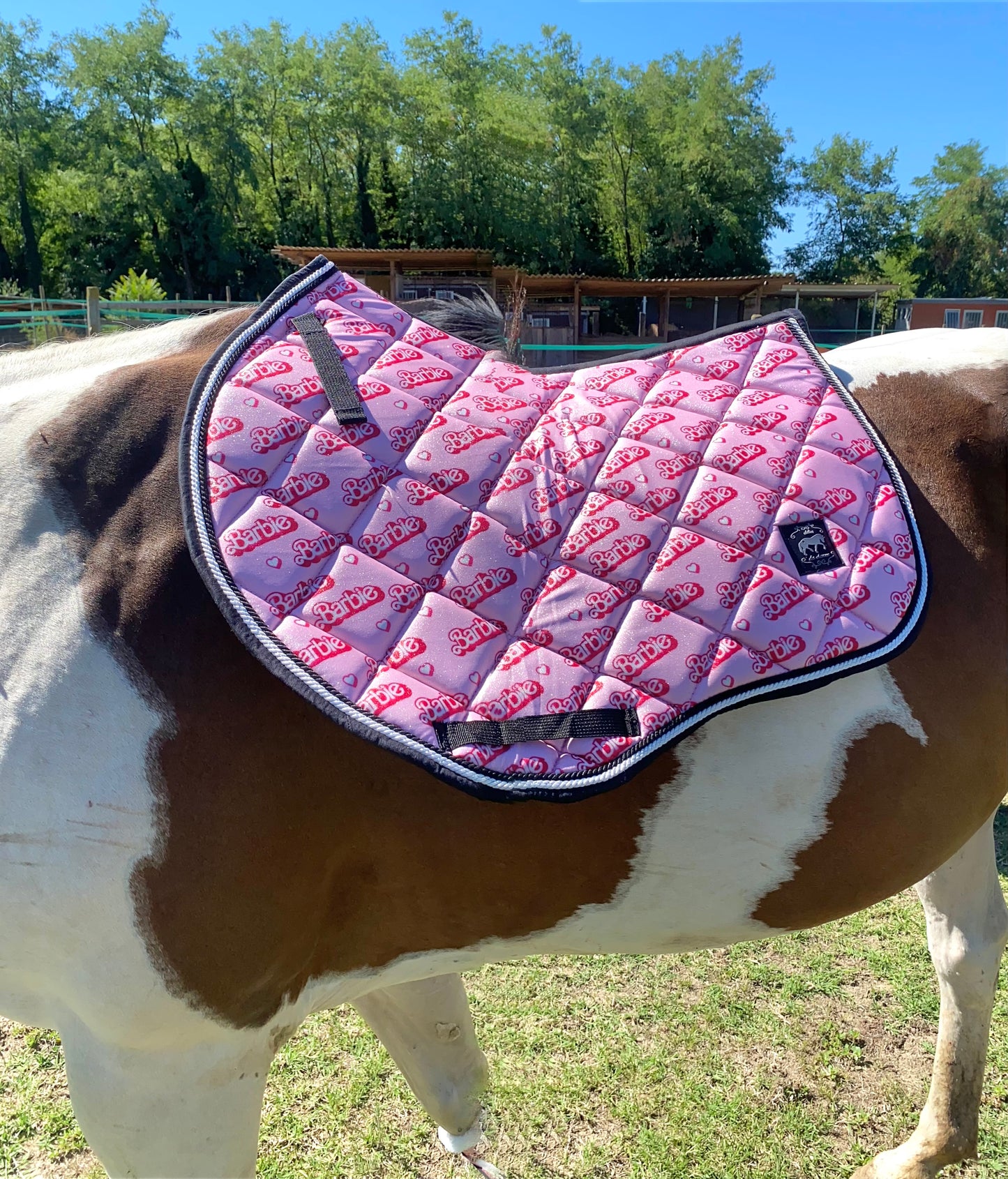 Completo da salto BARBIE rosa chiaro glitter