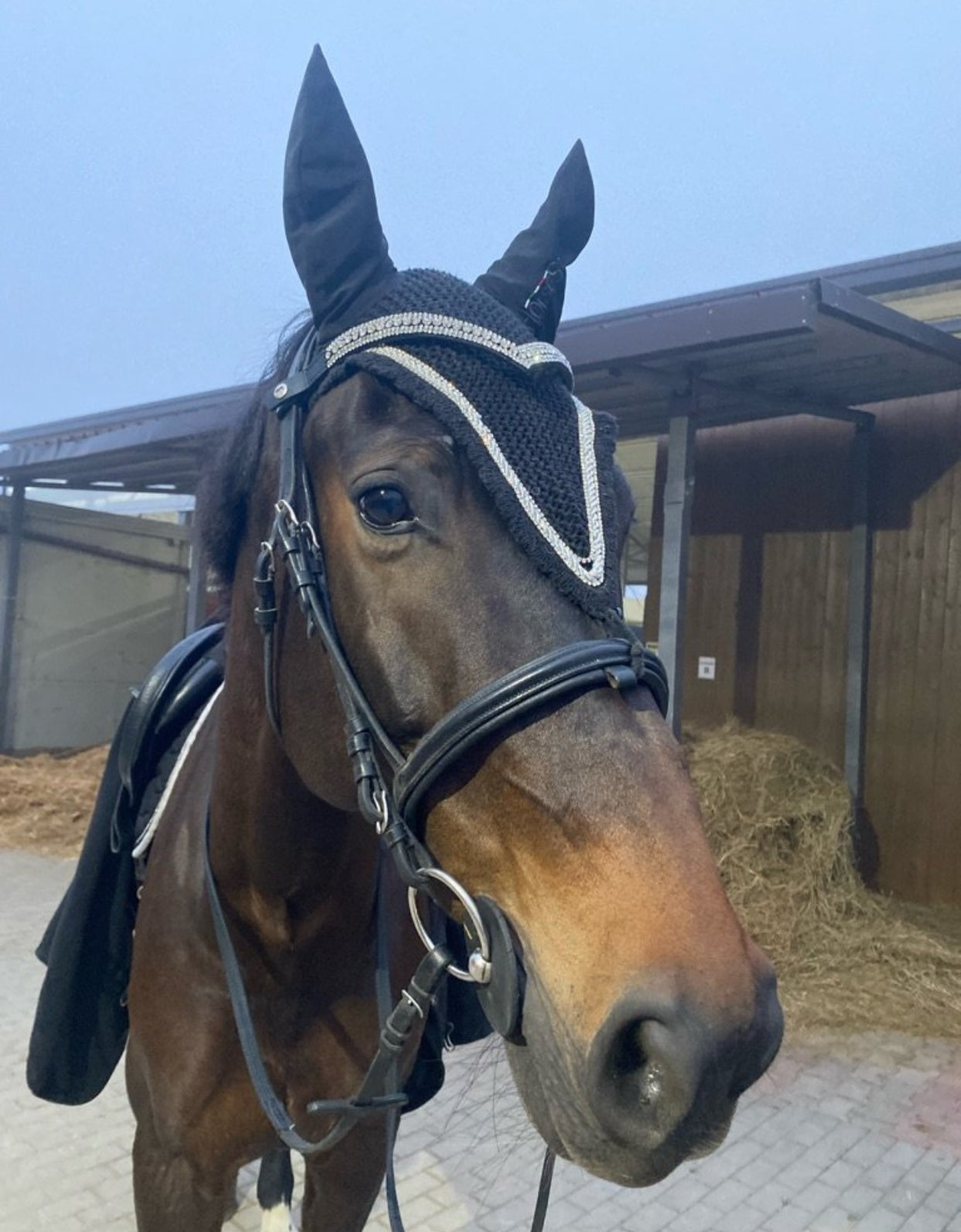 Frontalino Silver Elegance 🤍