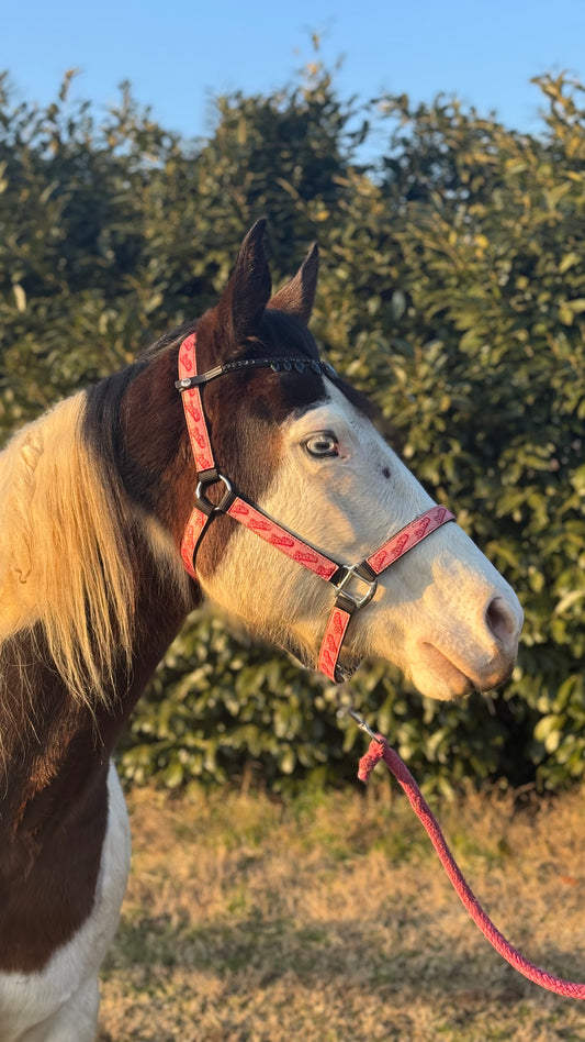 Frontalino a goccia nero