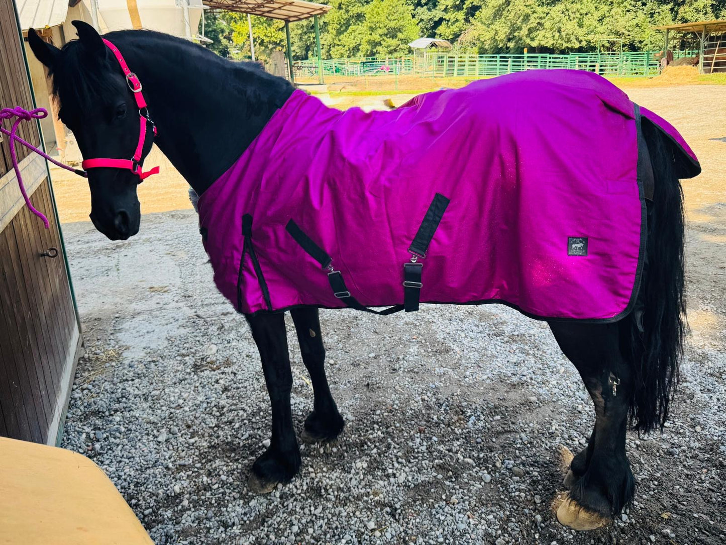 Coperta fucsia glitter