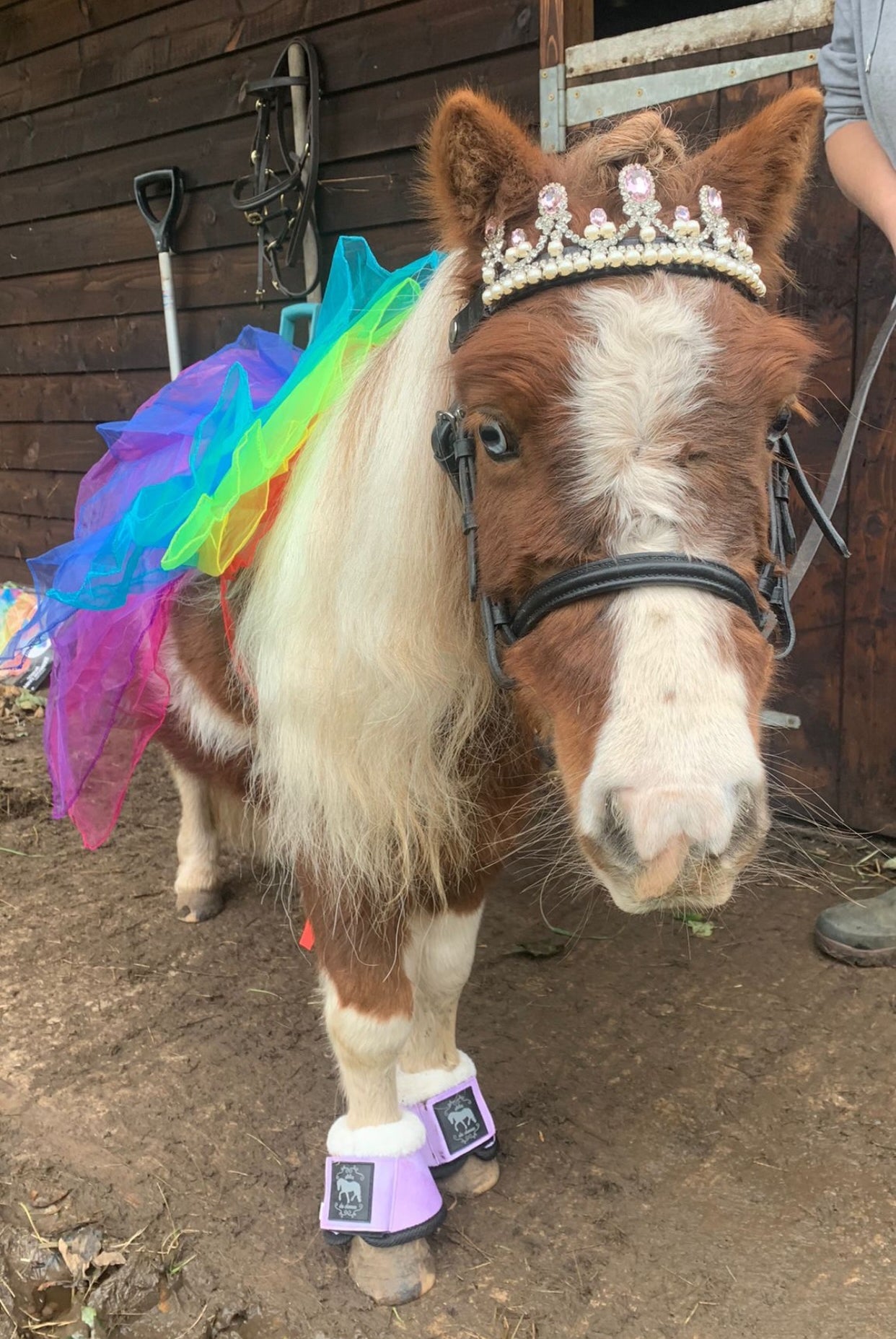 Frontalino Corona rosa chiaro