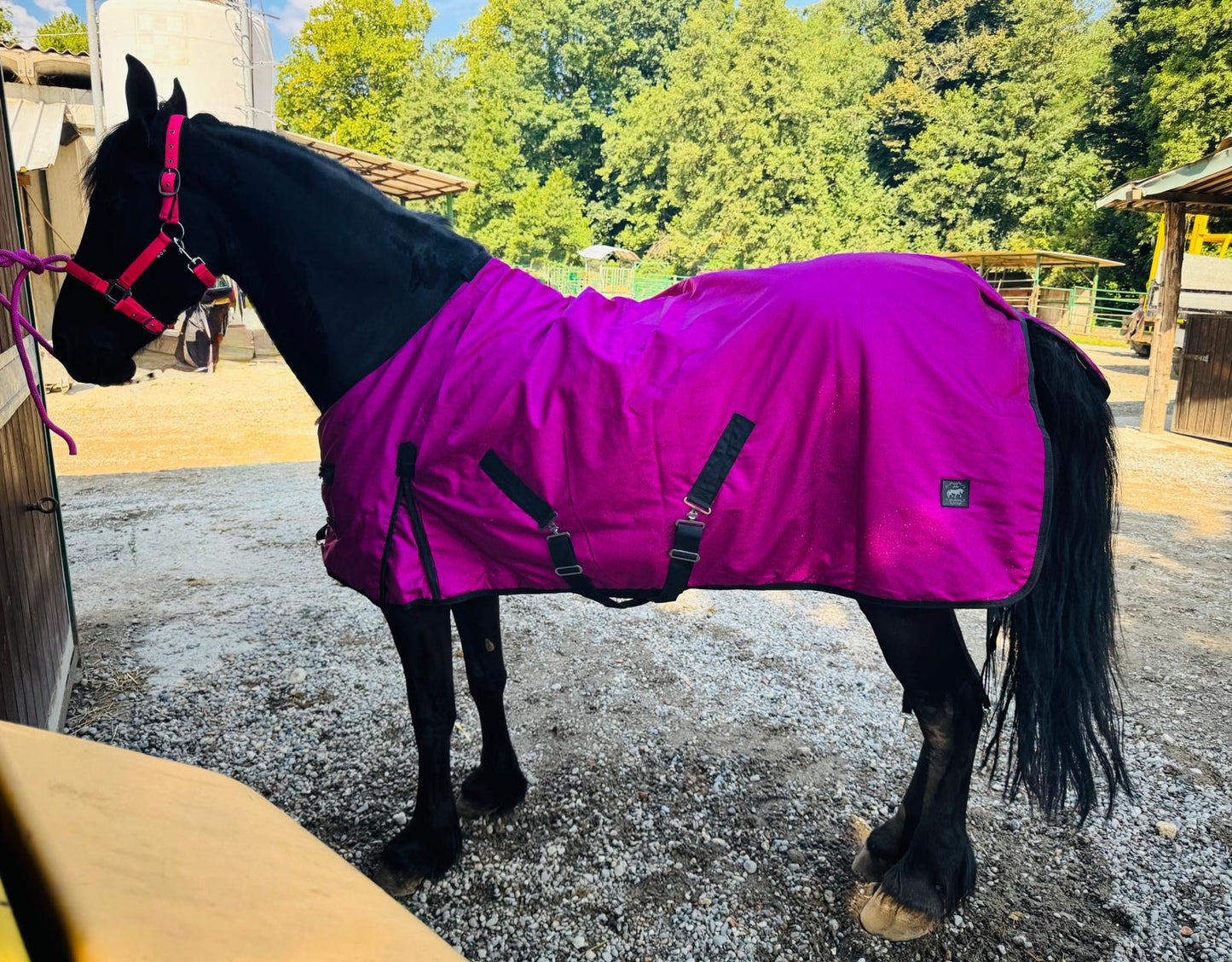 Fuchsia glitter blanket
