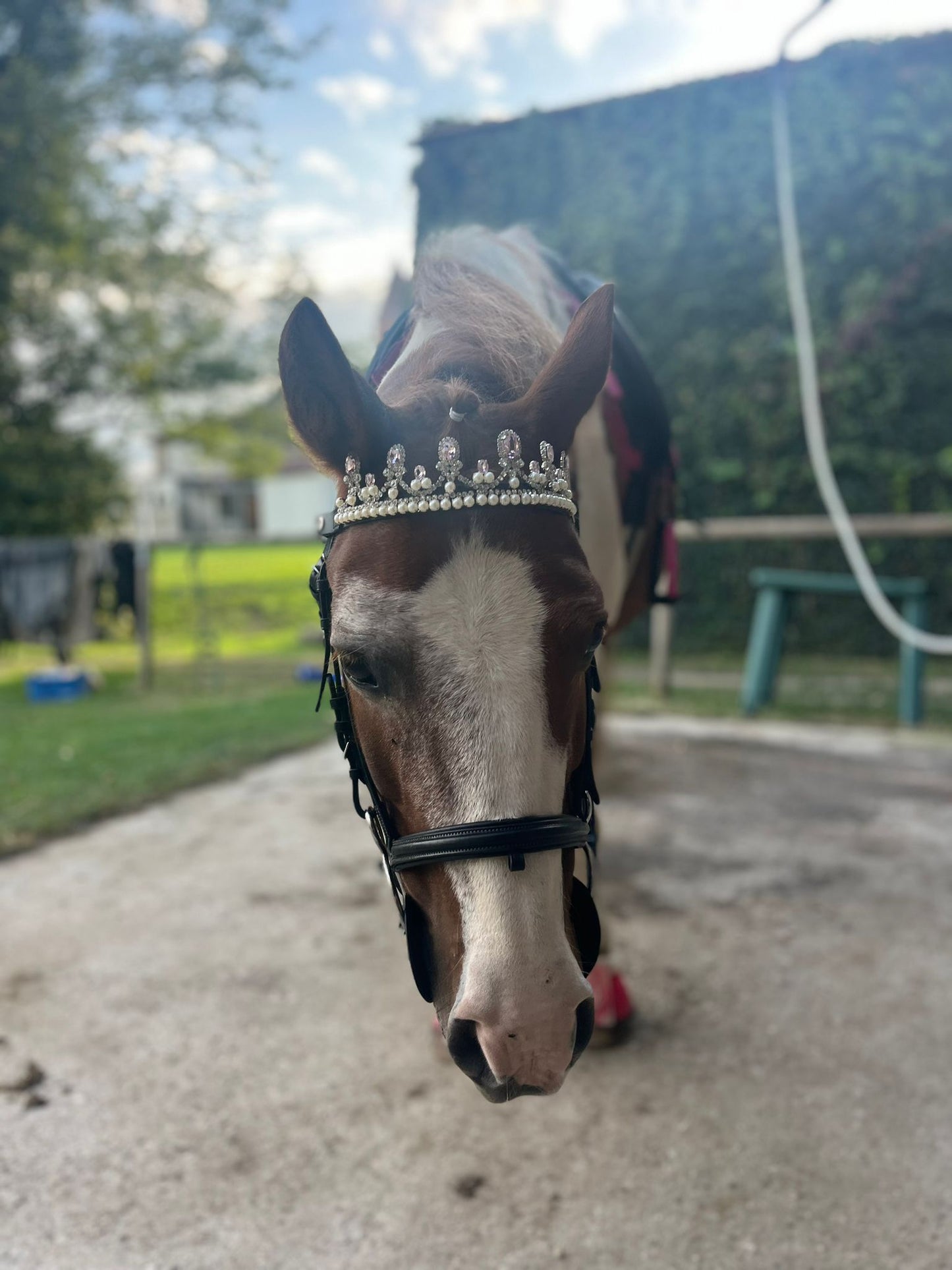 Frontalino Corona rosa chiaro