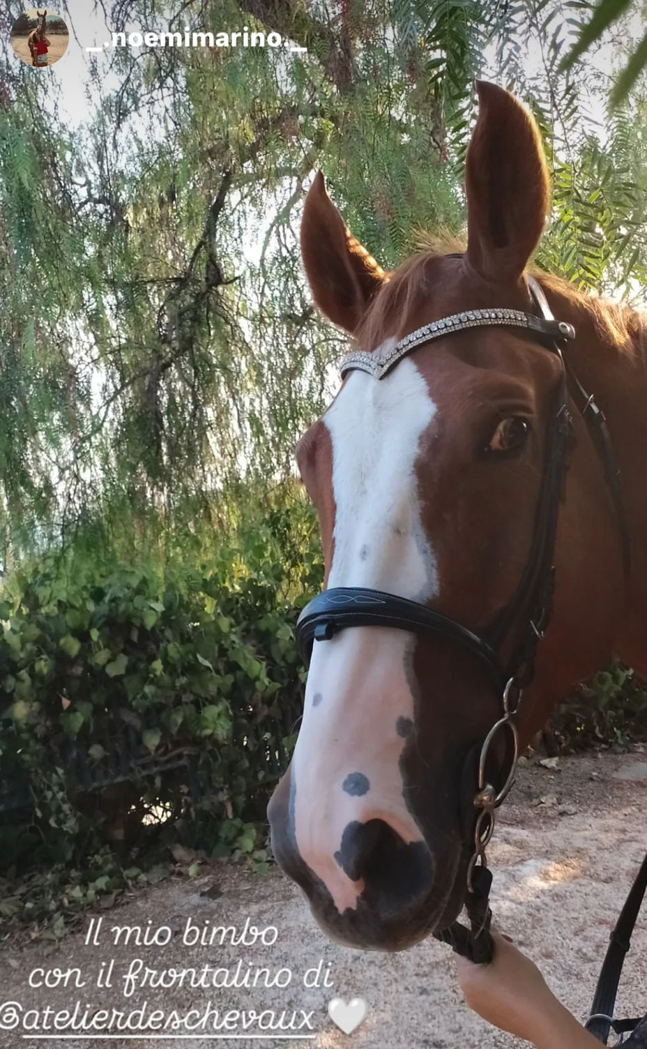 Frontalino Silver Elegance