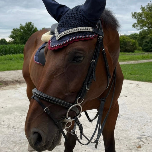 Browband Silver Elegance