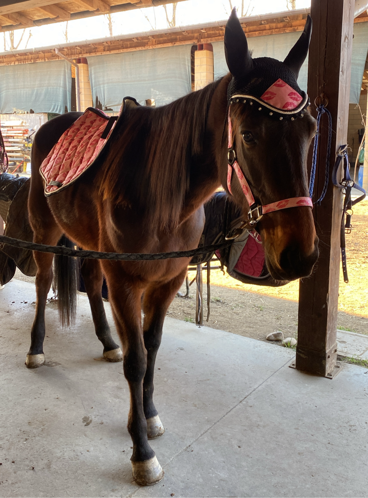 Completo da salto rosa glitter con baci