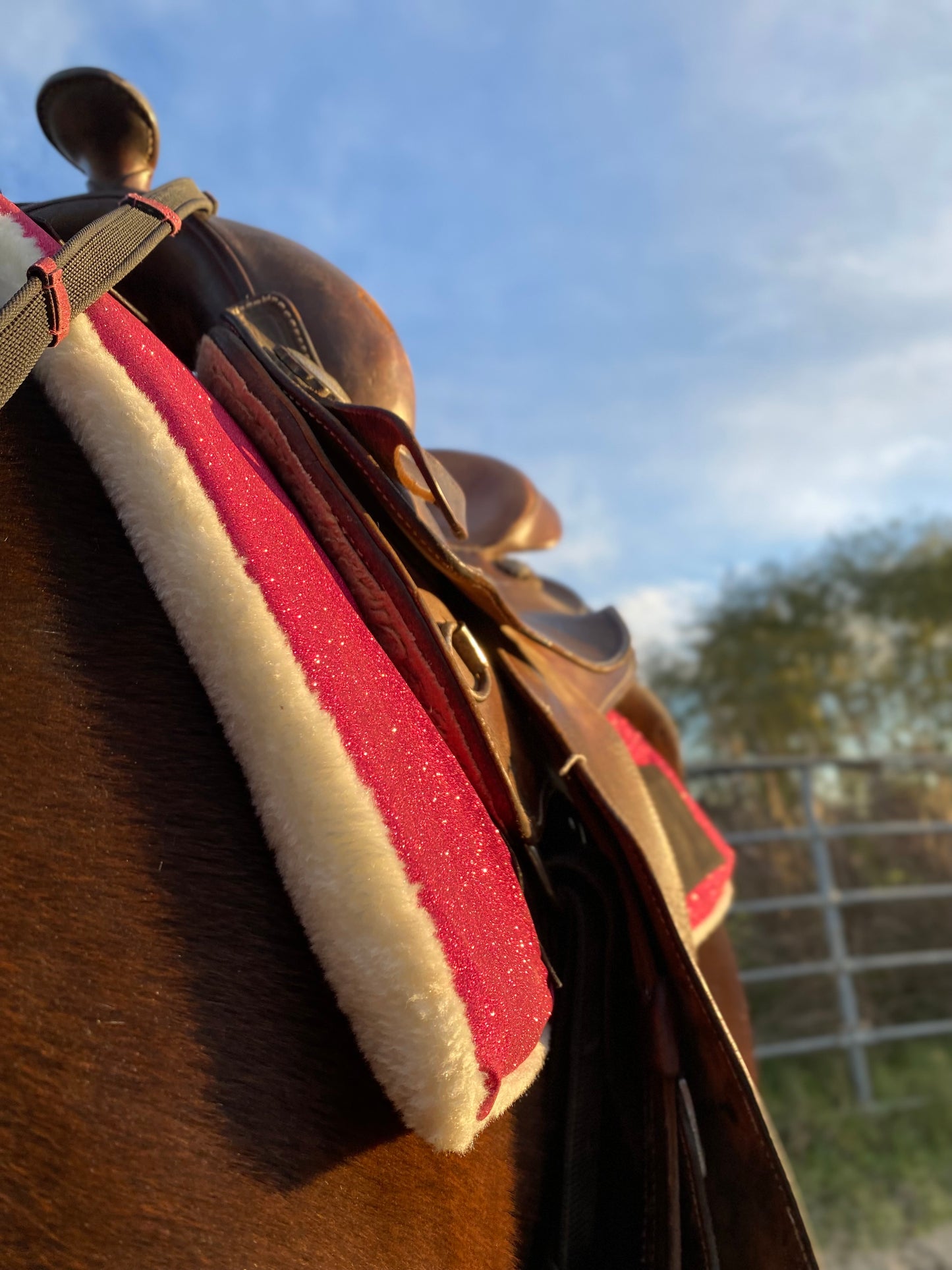 Sottosella Western Glam fucsia glitter