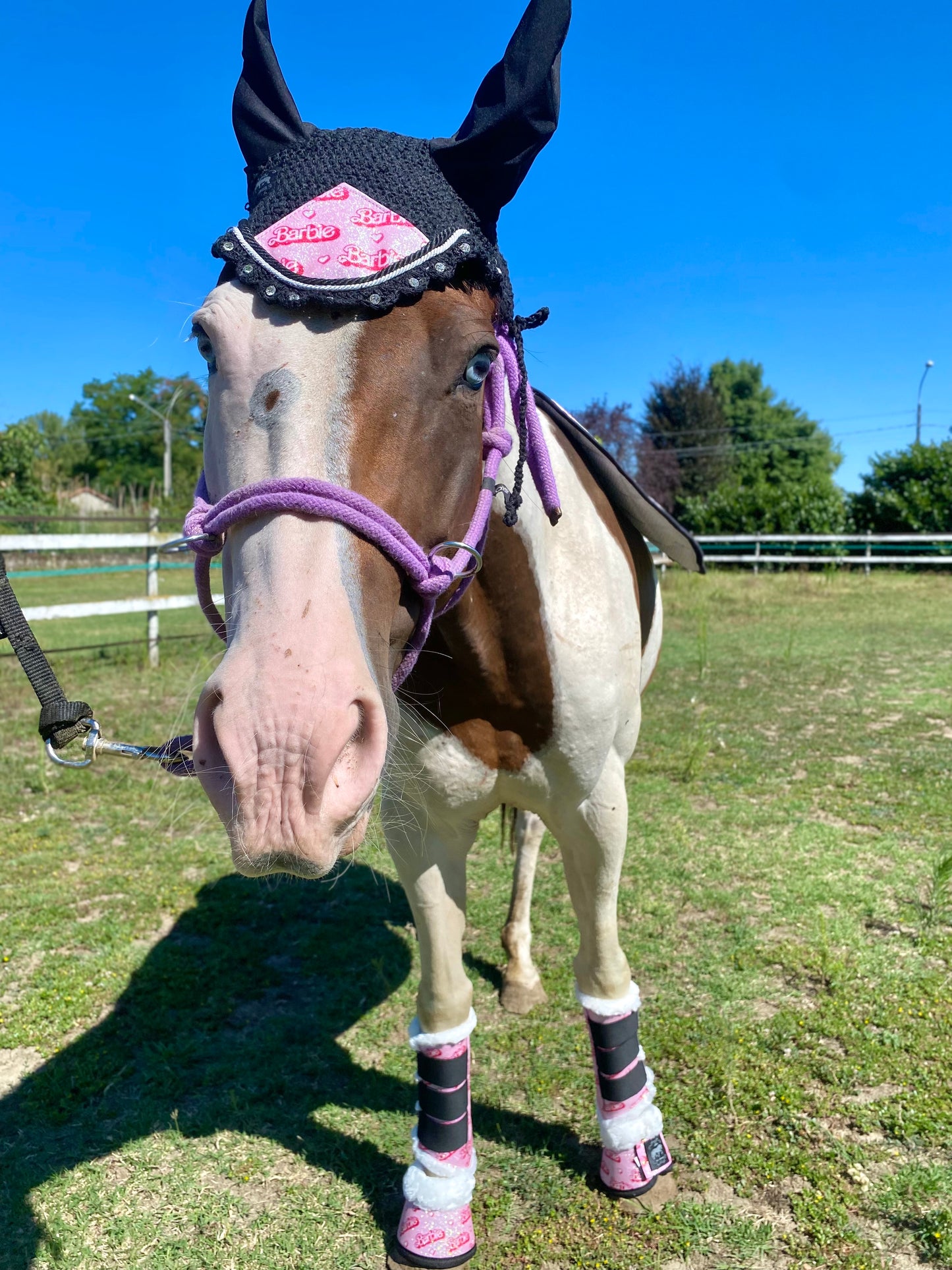 Completo da salto BARBIE rosa chiaro glitter