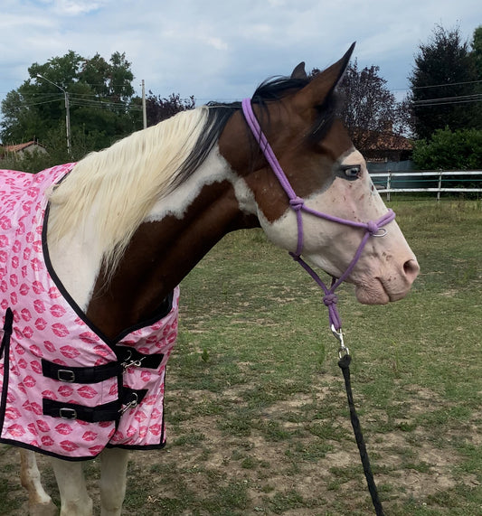 Blanket pink with kiss glitter