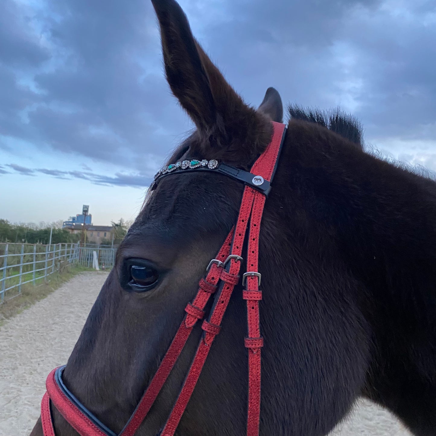 Frontalino Emerald Grace