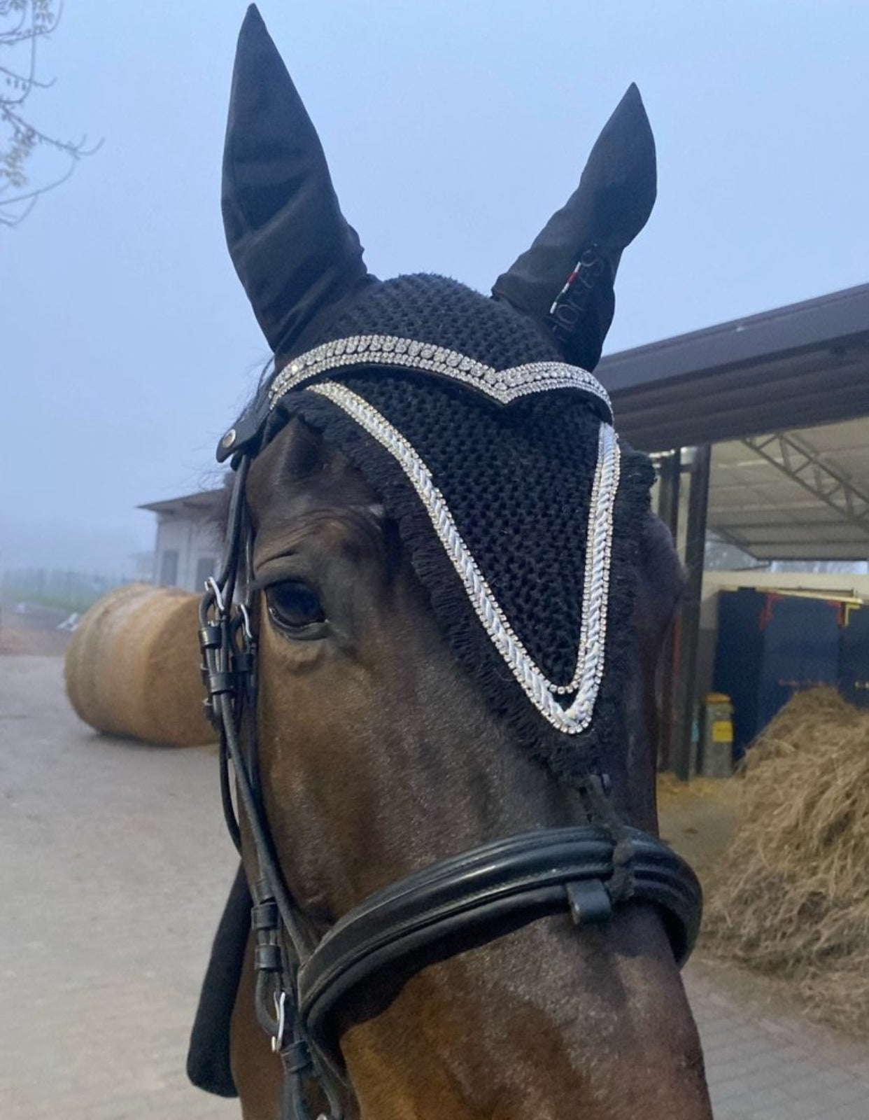 Frontalino Silver Elegance