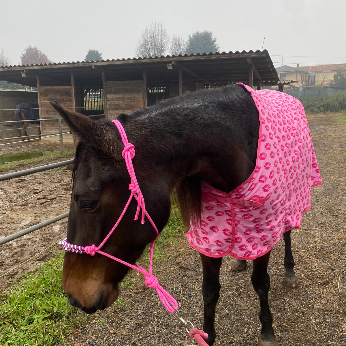 Fleece blanket pink with kiss