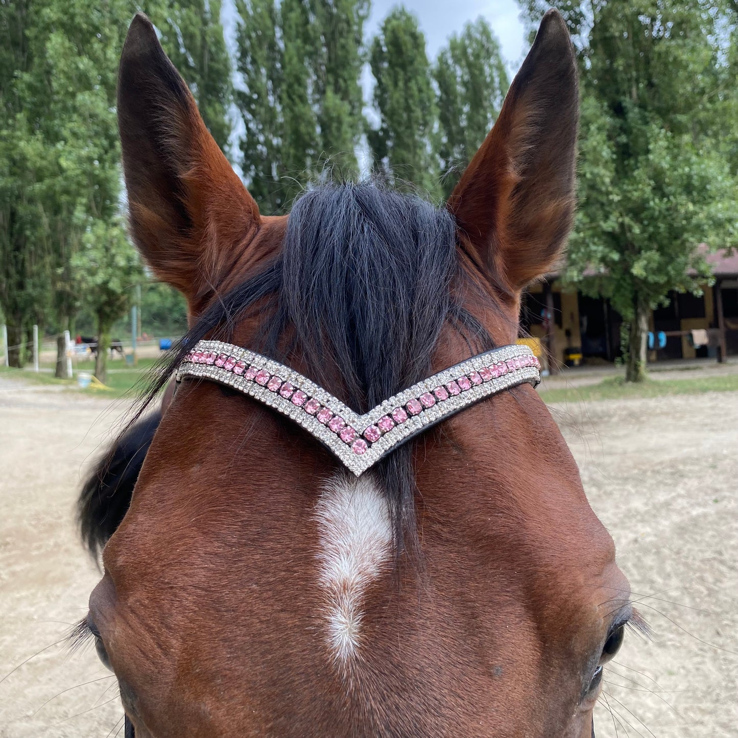 Frontalino Pink Elegance