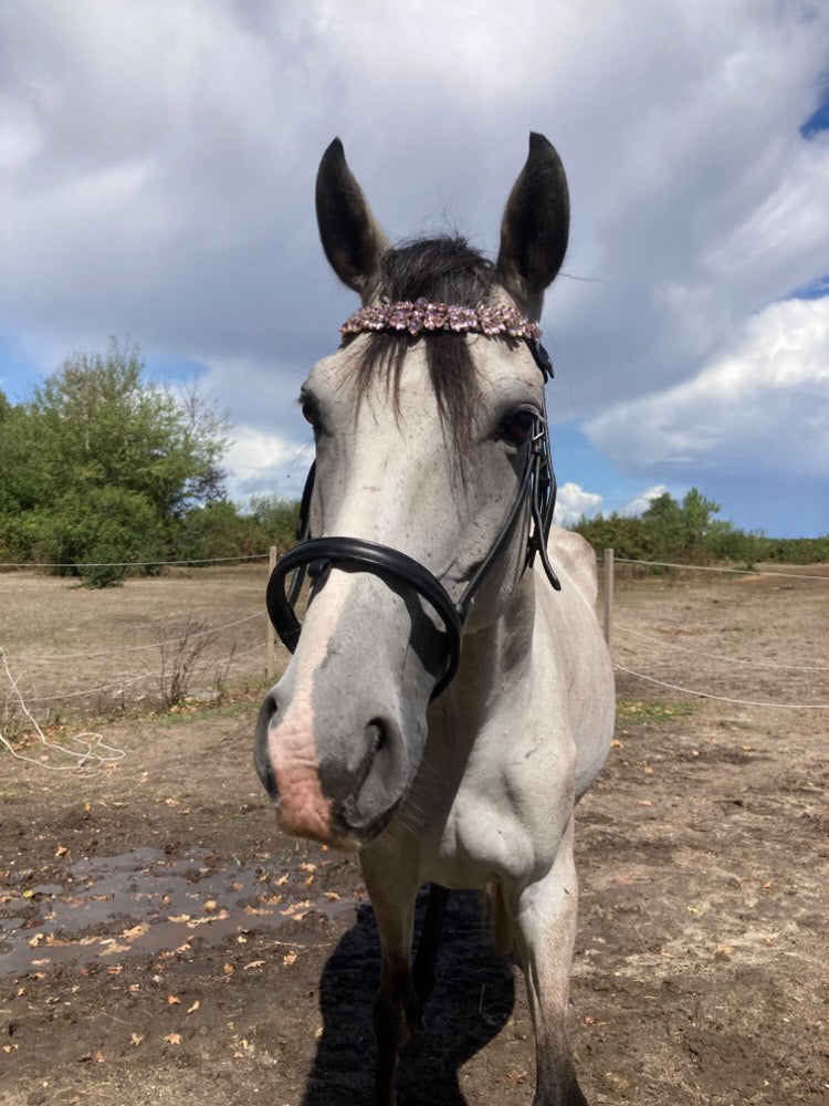 Frontalino Crystal Pink