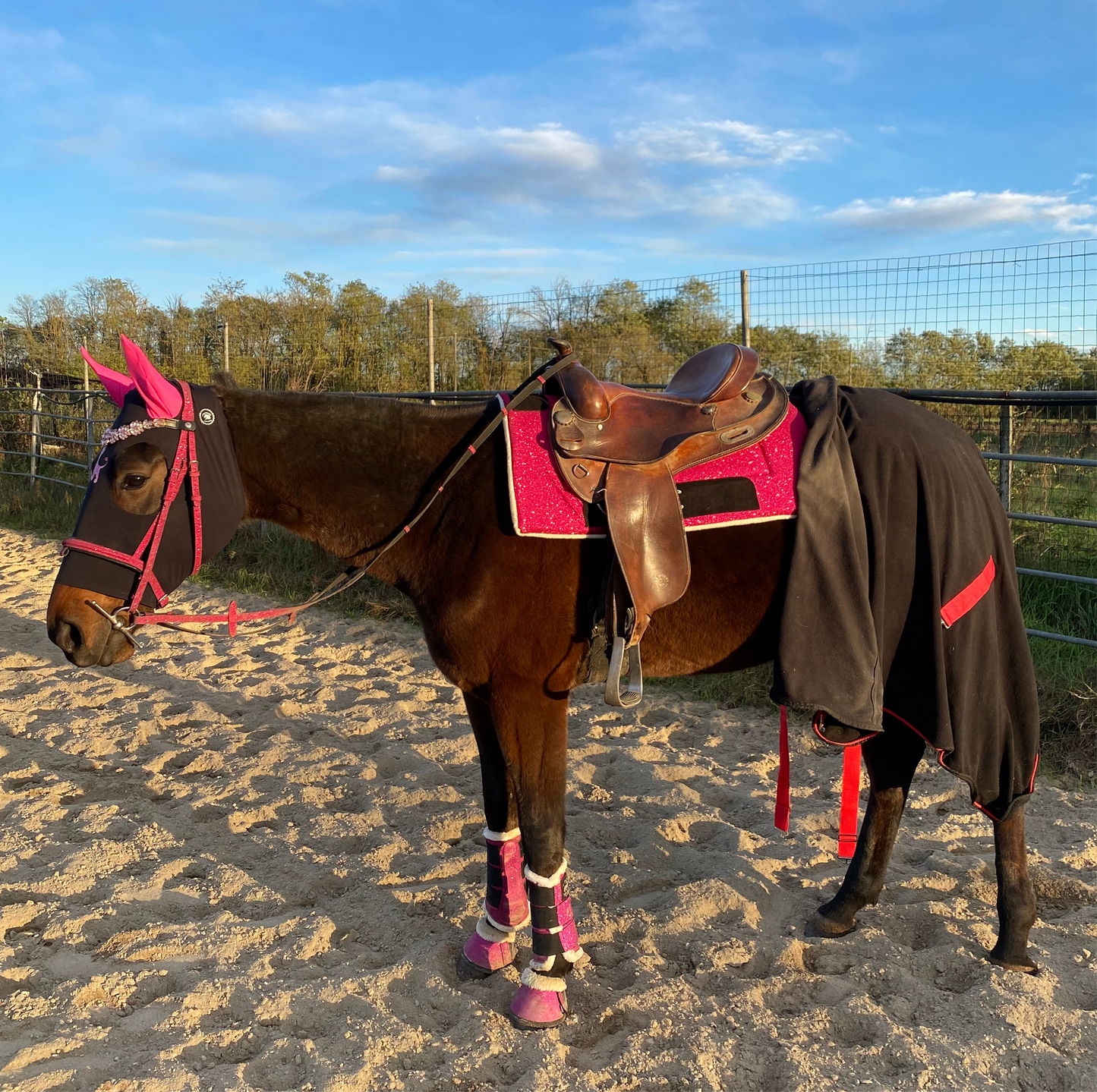 Sottosella Western Glam fucsia glitter