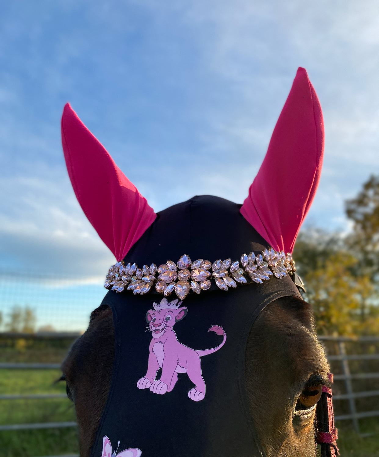 Frontalino Crystal Pink