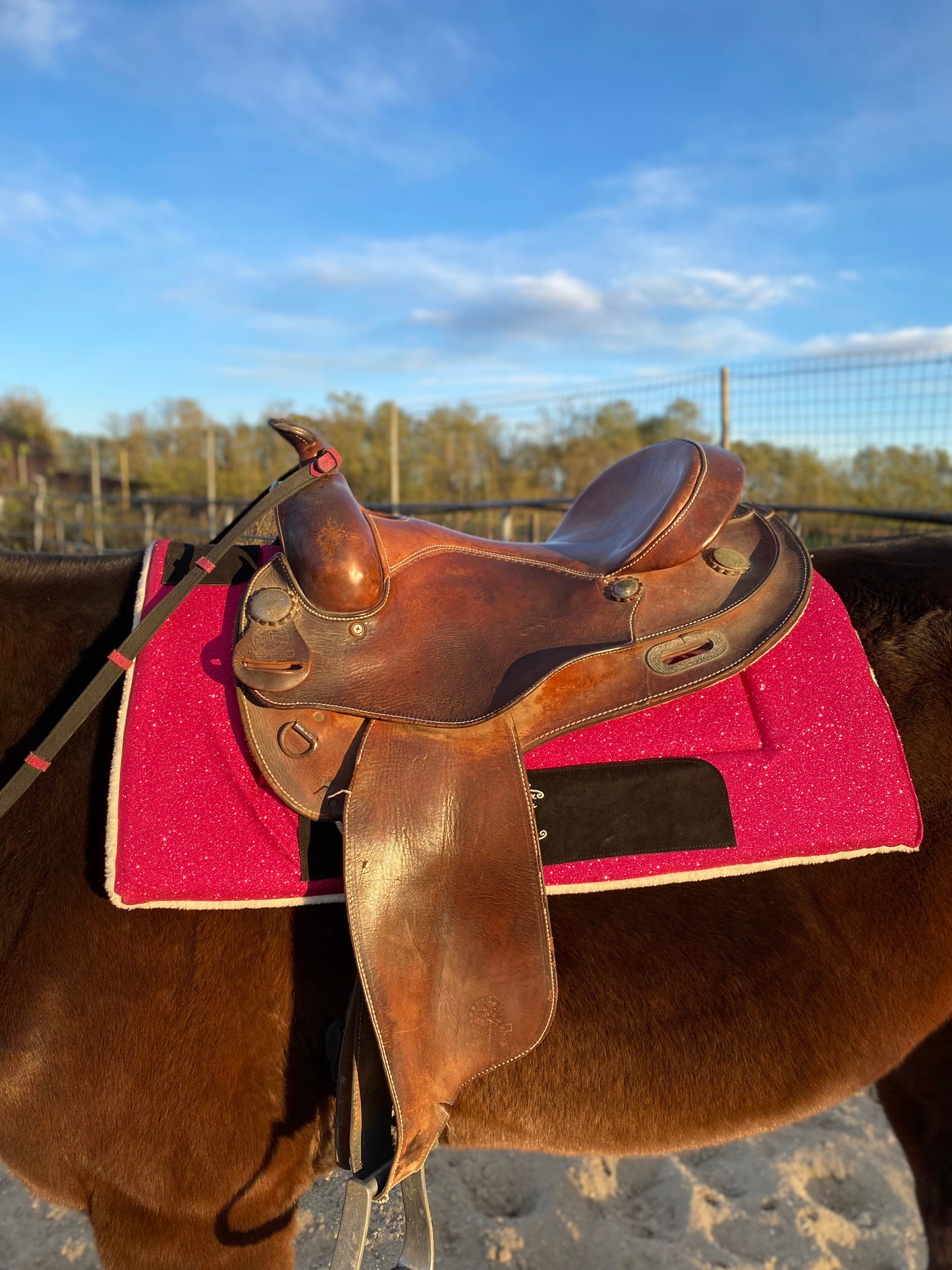 Sottosella Western Glam fucsia glitter