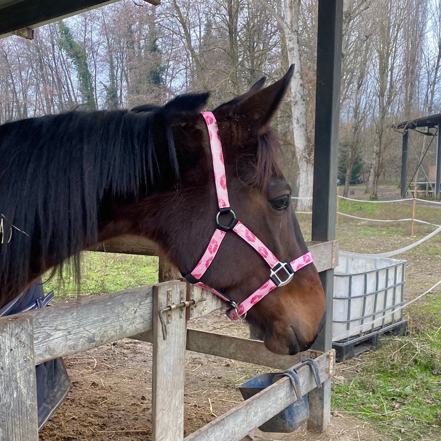 Cavezza rosa glitter con baci 💋