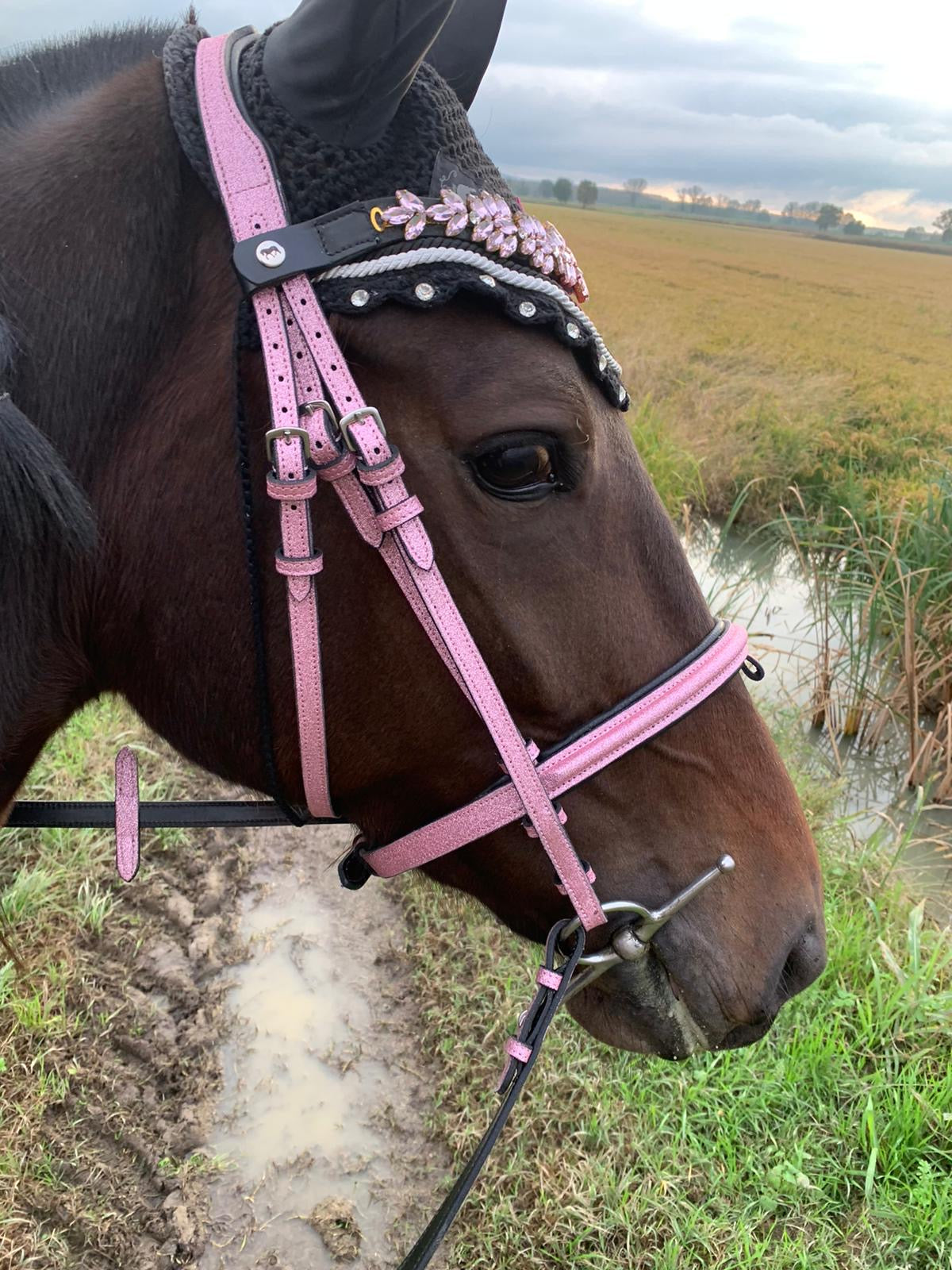 Frontalino Crystal Pink