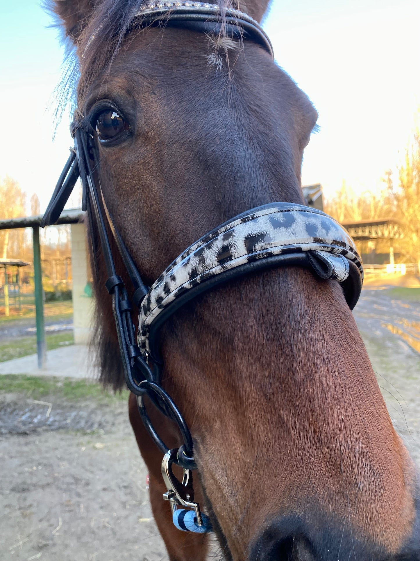 Tête de lit Leopard Lux 🖤