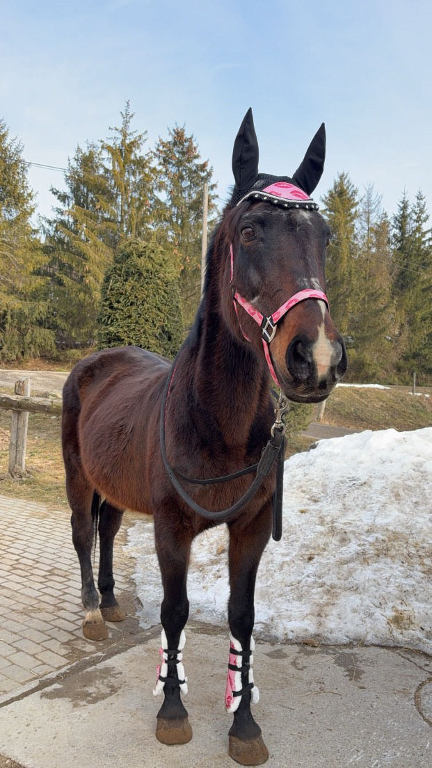 Completo da salto rosa glitter con baci