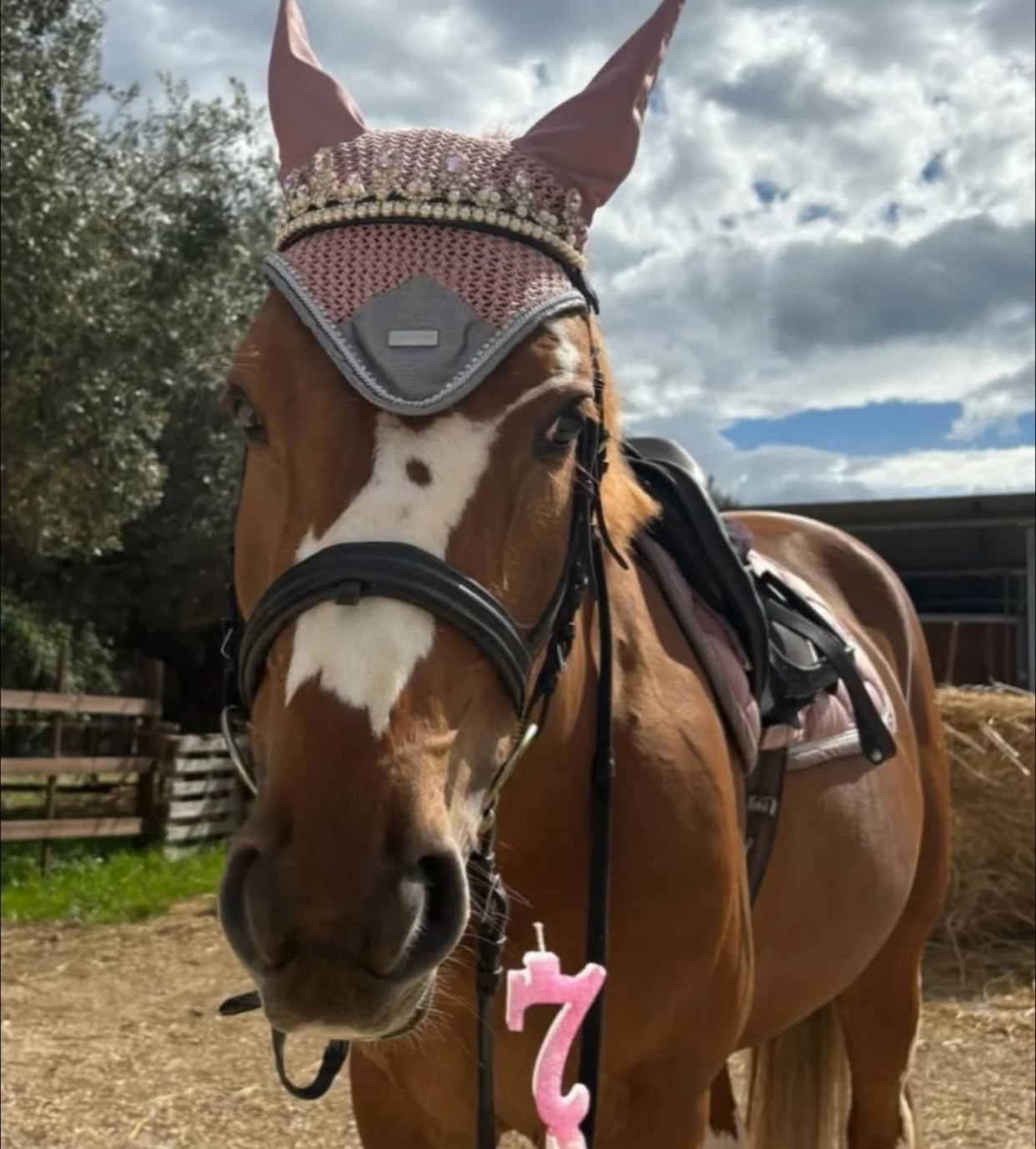 Frontalino Corona rosa chiaro