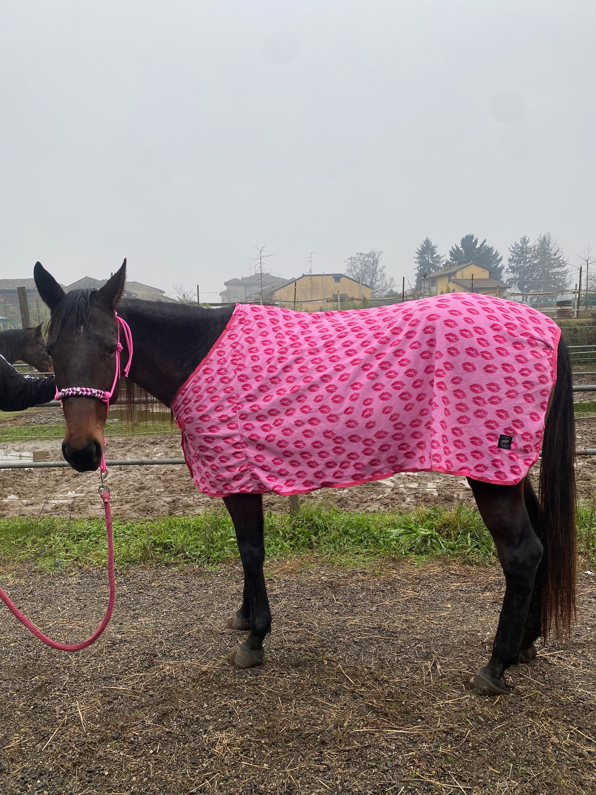 Fleece blanket pink with kiss