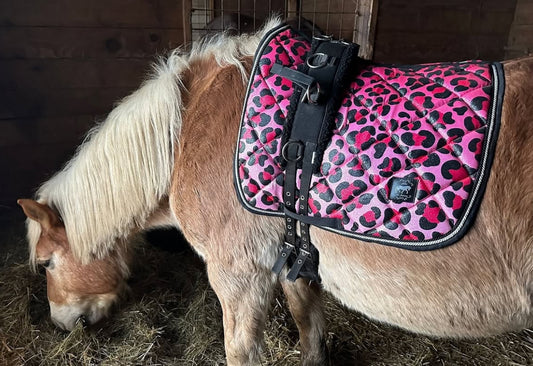 Saddlepad dressage Leopard fucshia glitter