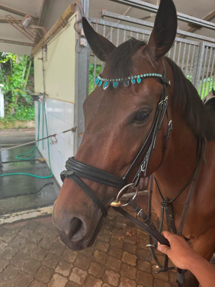 Frontalino Azure Drop