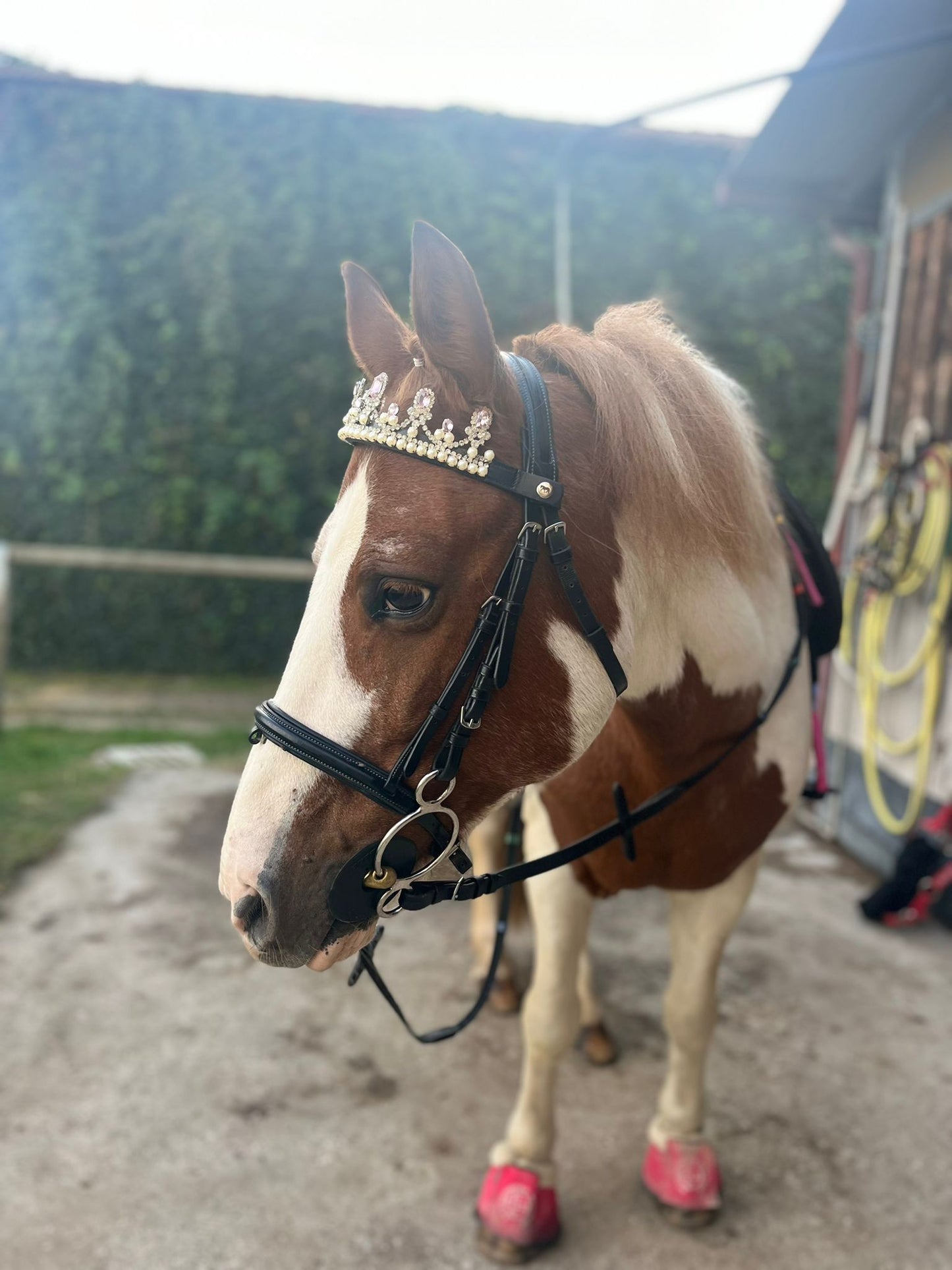 Frontalino Corona rosa chiaro