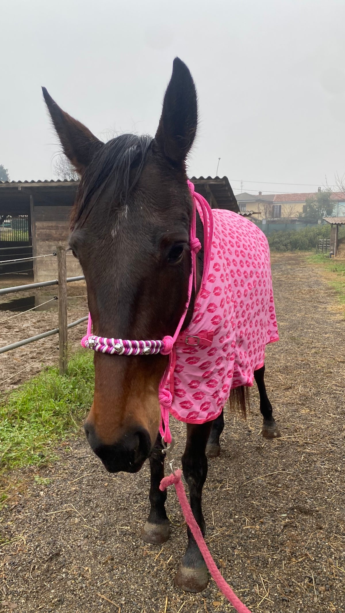 Fleece blanket pink with kiss