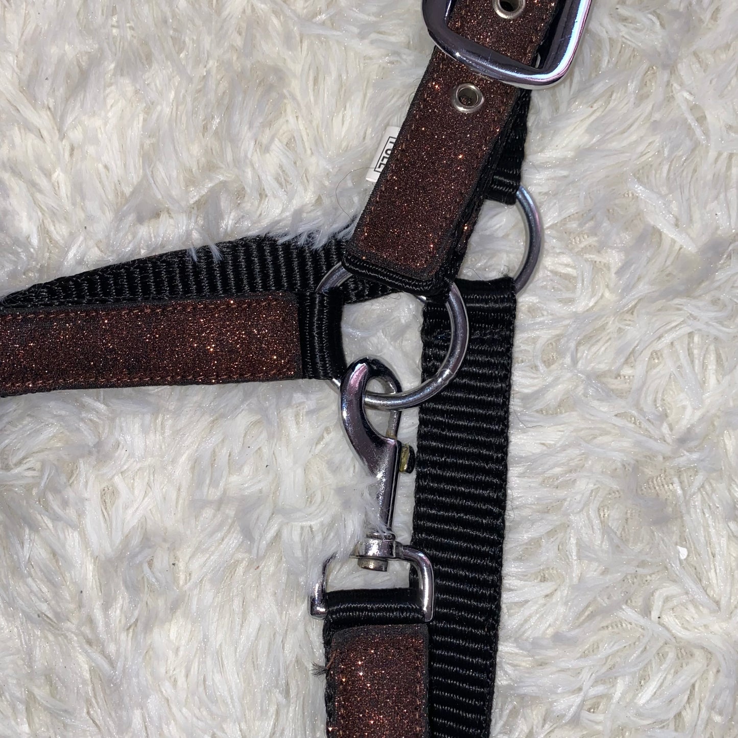 Cavezza Brown Spark 🤎