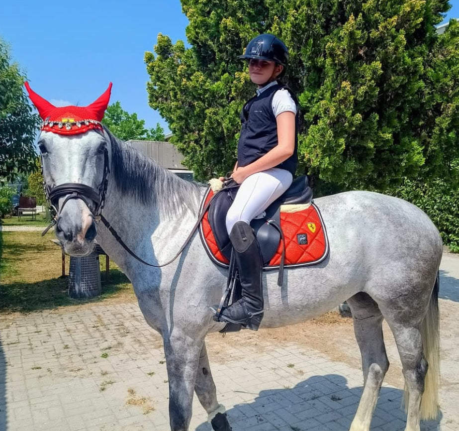 Sottosella e cuffietta Ferrari ❤️🔥