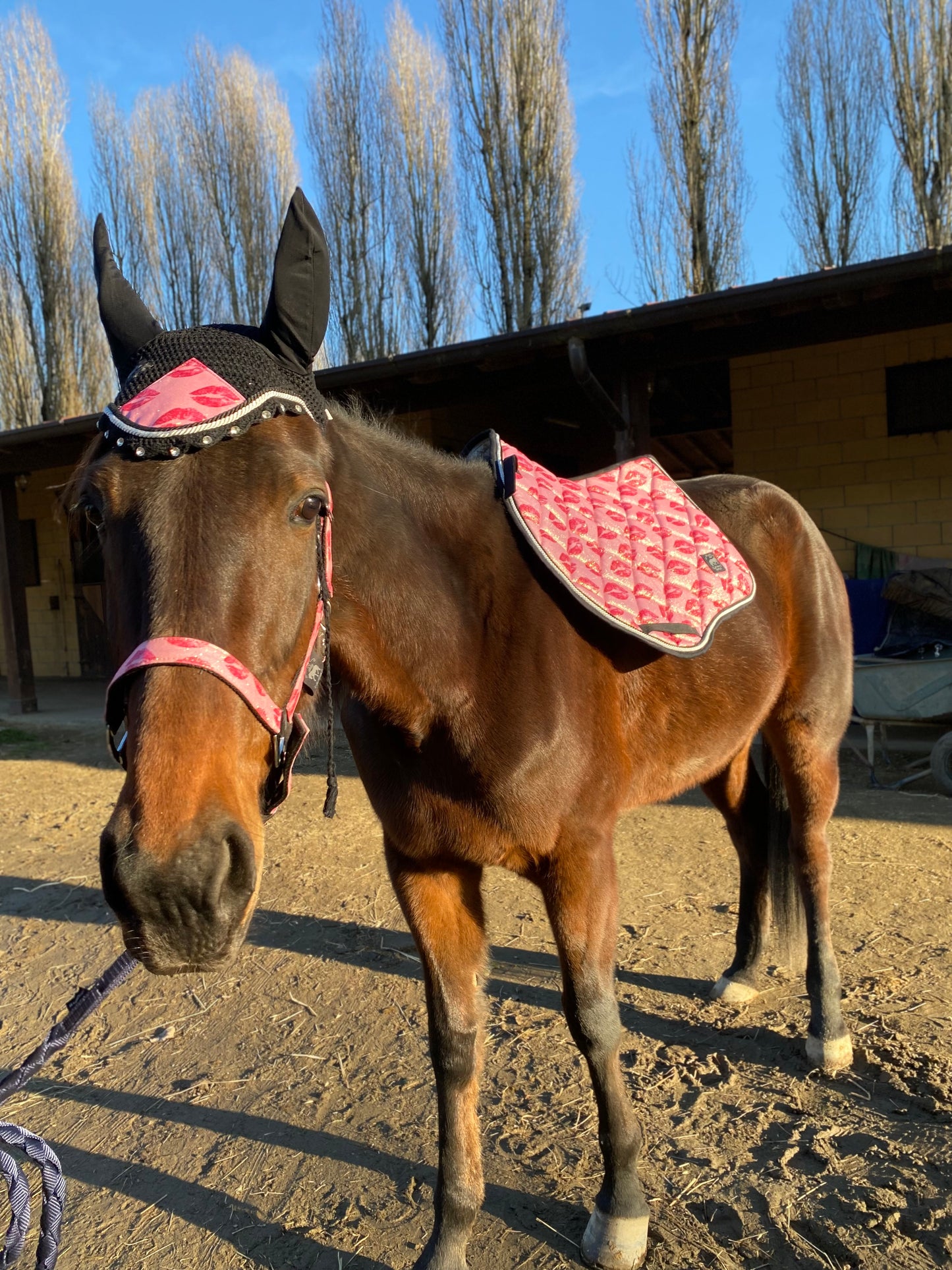 Completo da salto rosa glitter con baci