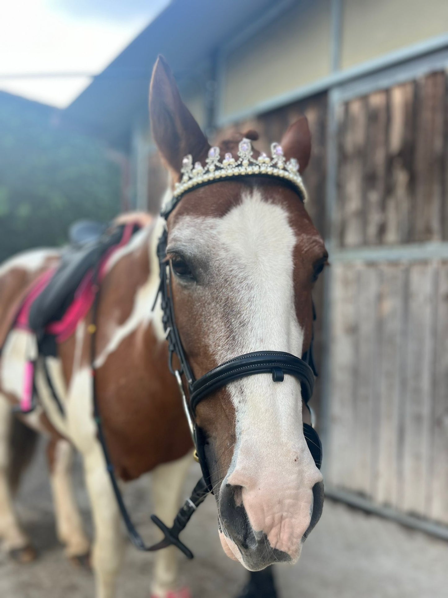 Frontalino Corona rosa chiaro